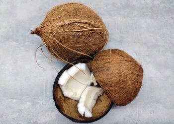 Selain untuk Meningkatkan Kekebalan Tubuh, Berikut 8 Manfaat Air Kelapa