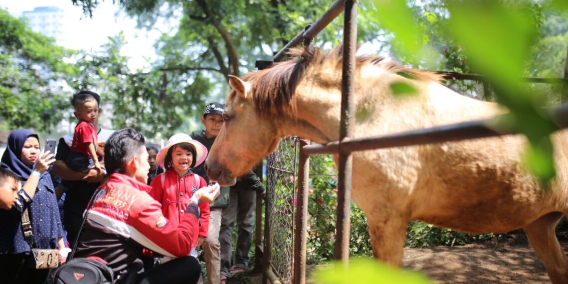 Mengaku Punya Bukti Sah, Pemkot Bandung Akan Segera Ambil Alih Kebun Binatang Bandung