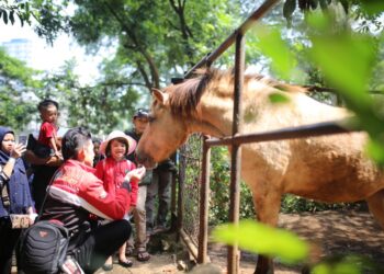 Mengaku Punya Bukti Sah, Pemkot Bandung Akan Segera Ambil Alih Kebun Binatang Bandung
