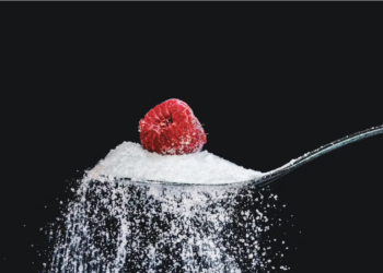 Pilihan Makanan sehat untuk orang Diabetes