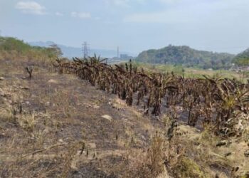Satu Titik Api di Gunung Jayanti Sudah Padam