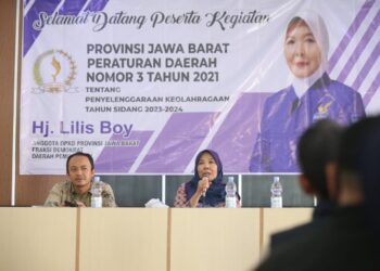 Lilis Boy Menyoroti Peningkatan Kasus Kekerasan pada Anak