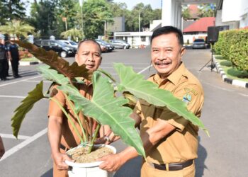 Aksi Cinta Hijau, Barnas Adjidin Targetkan 20 Persen Kawasan Hijau di Sekretariat DPRD Jabar