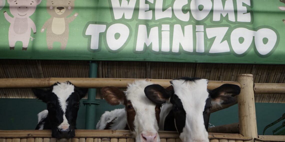 Mini Zoo, Jadi Tempat Favorit Tamu Hotel Grand Tjokro Bandung