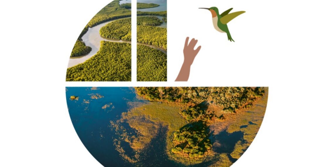 Mengenal Hari Lahan Basah Sedunia, 2 Februari 2024