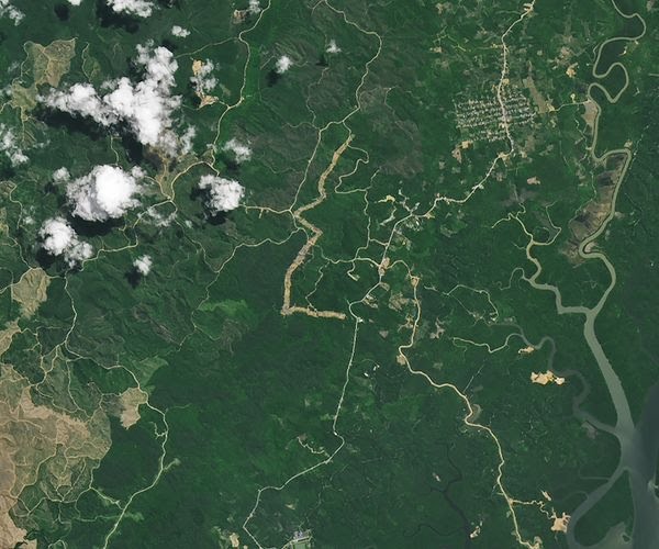 Satelit NASA Soroti Perubahan Hutan di IKN