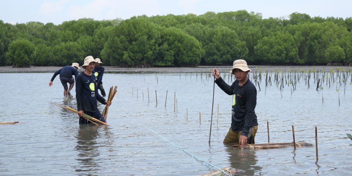 Peringati Hari Bumi Sedunia : Bio Farma Tanam 4000 Mangrove