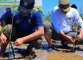 Peduli Lingkungan, Satpol PP Jabar Tanam 1.000 Pohon Mangrove dan Tanaman Keras